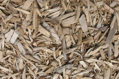 biomass boilers Birchall
